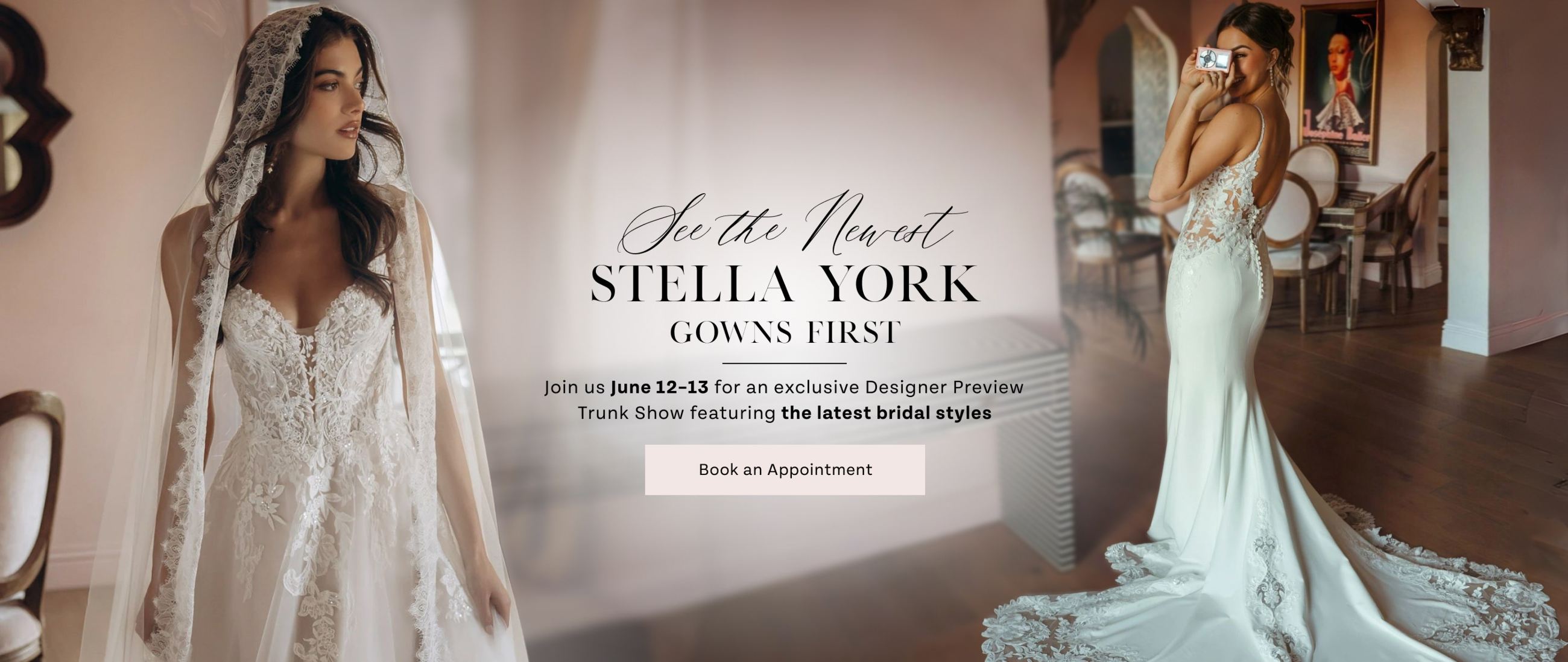 stella york trunk show 2026